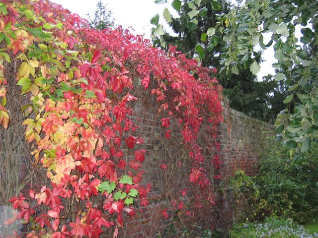 Leaves turning, and all that