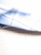 Mysterious out-of-focus blue thing