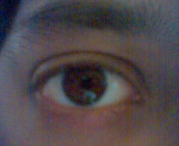 The eye of eyecam